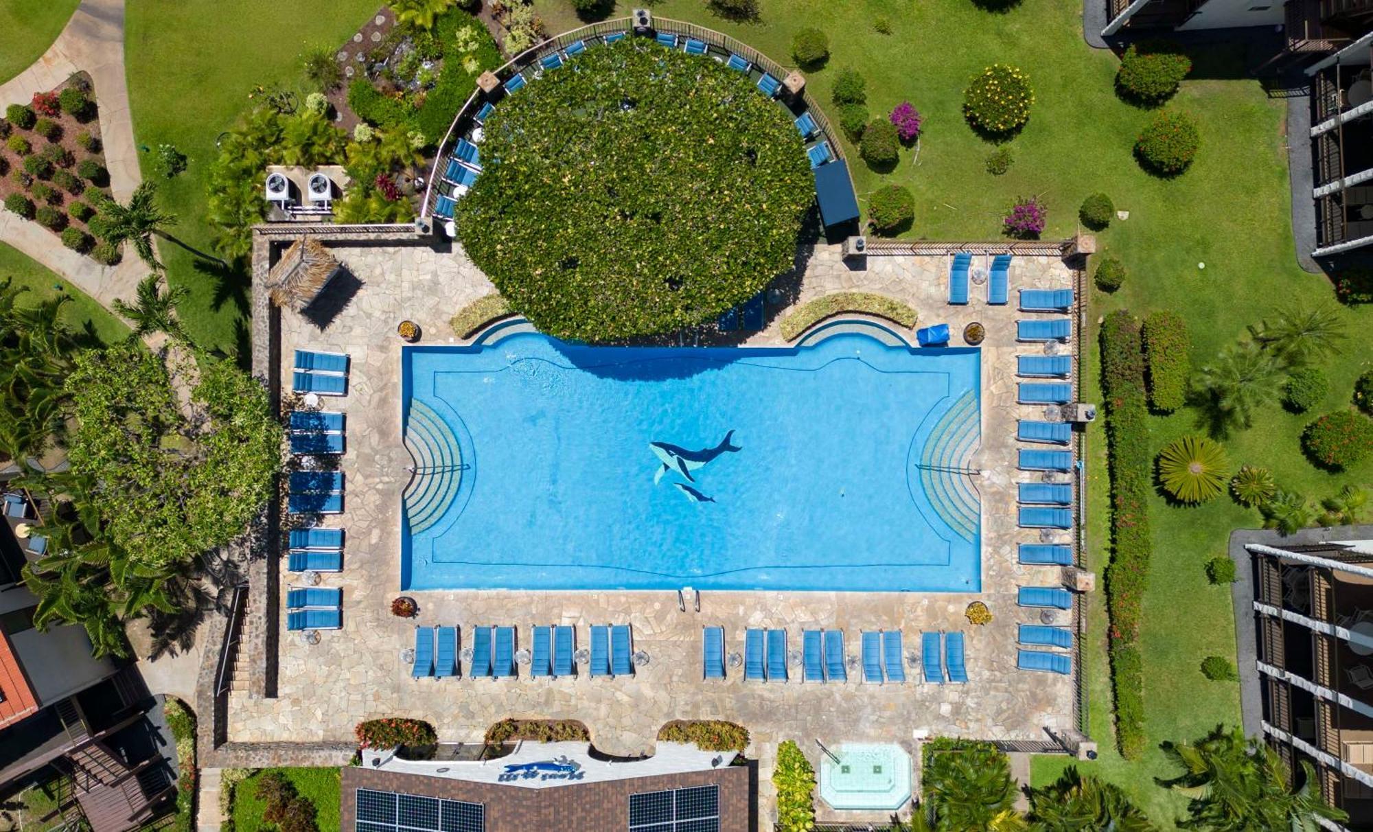 Aston Maui Hill Aparthotel Wailea  Buitenkant foto